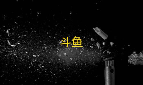 第五人格直装科技斗鱼